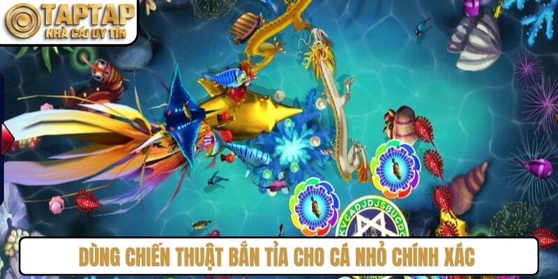 Dùng chiến thuật bắn tỉa cho cá nhỏ chính xác mang đến chiến thắng lớn