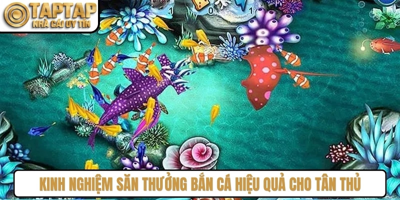 Kinh nghiệm săn thưởng bắn cá hiệu quả cho tân thủ