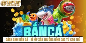 Cách Chơi Bắn Cá