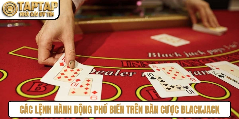 Các lệnh hành động phổ biến trên bàn cược Blackjack