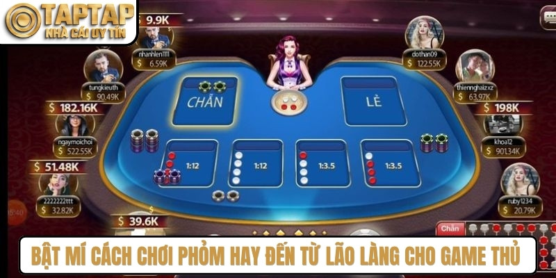 Bật mí cách chơi phỏm hay đến từ lão làng cho game thủ áp dụng