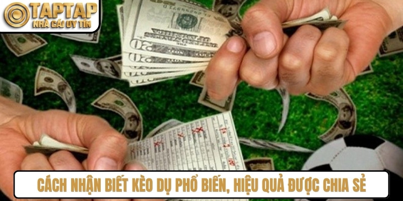 Cách nhận biết kèo dụ phổ biến, hiệu quả được chuyên gia chia sẻ