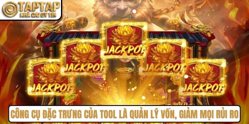 Công cụ đặc trưng của tool là quản lý vốn, giảm mọi rủi ro